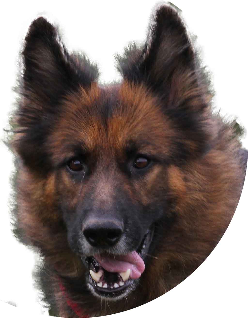 Legt euch nicht mit mir an ;-) die Wächterin